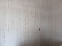 50532175577353